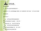 八年级生物下册第七单元生物圈中生命的延续和发展第二章生物的遗传与变异第四节人的性别遗传作业课件新人教版
