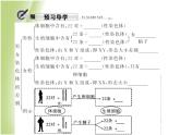 八年级生物下册第七单元生物圈中生命的延续和发展第二章生物的遗传与变异第四节人的性别遗传作业课件新人教版