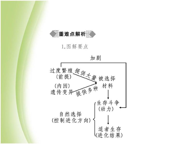 八年级生物下册第七单元生物圈中生命的延续和发展第三章生命起源和生物进化第三节生物进化的原因作业课件新人教版03