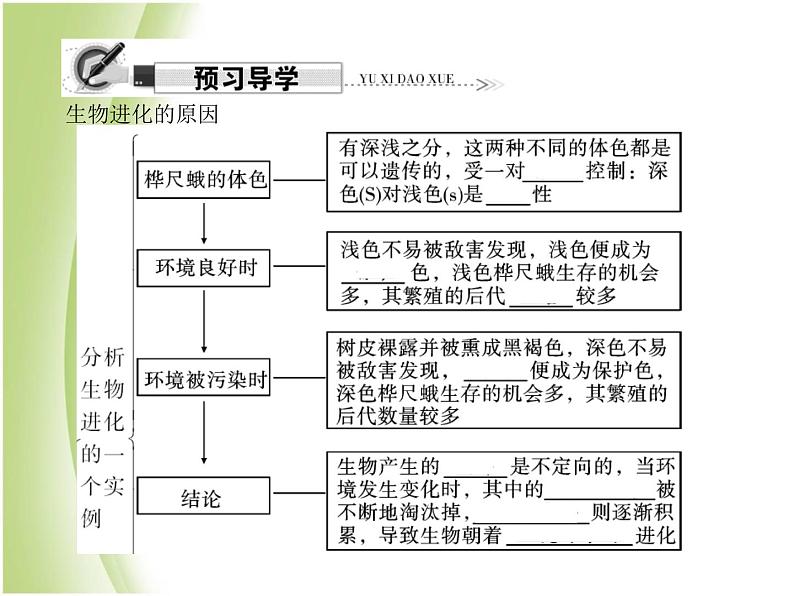 八年级生物下册第七单元生物圈中生命的延续和发展第三章生命起源和生物进化第三节生物进化的原因作业课件新人教版07