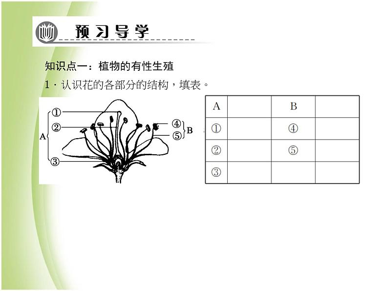 八年级生物下册第七单元生物圈中生命的延续和发展第一章生物的生殖和发育第一节植物的生殖作业课件新人教版06