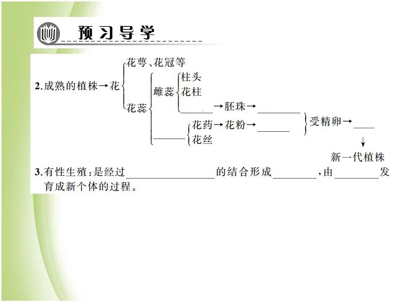 八年级生物下册第七单元生物圈中生命的延续和发展第一章生物的生殖和发育第一节植物的生殖作业课件新人教版07