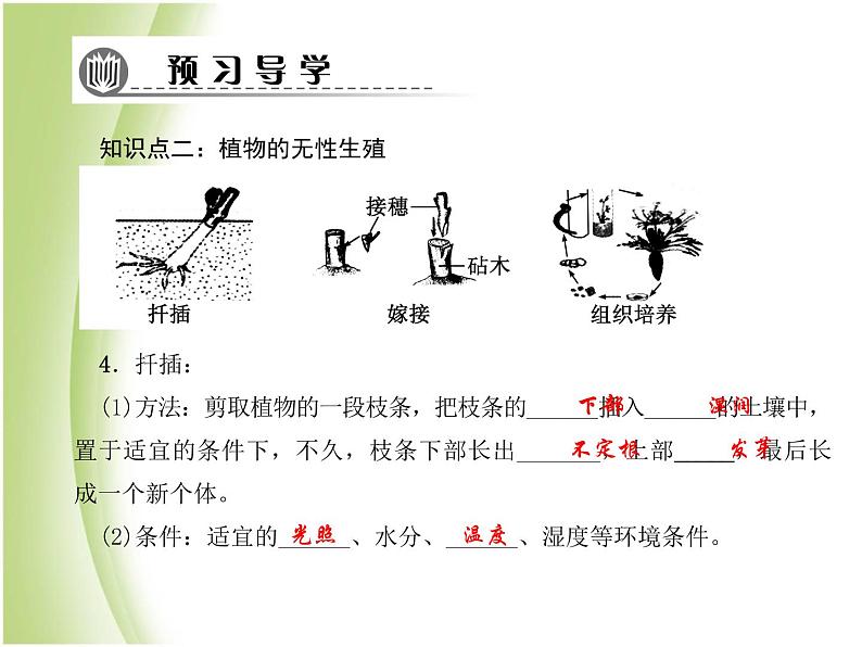 八年级生物下册第七单元生物圈中生命的延续和发展第一章生物的生殖和发育第一节植物的生殖作业课件新人教版08