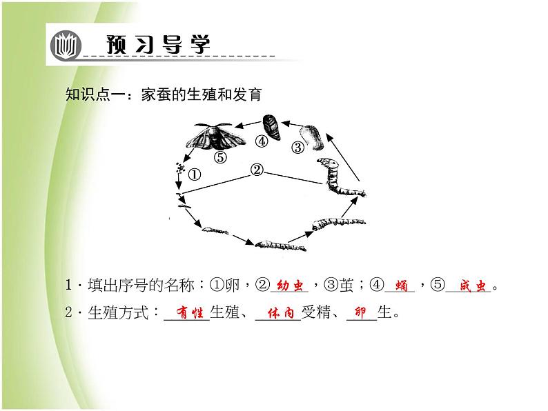 八年级生物下册第七单元生物圈中生命的延续和发展第一章生物的生殖和发育第二节昆虫的生殖和发育作业课件新人教版第6页