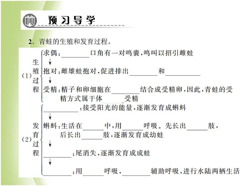 八年级生物下册第七单元生物圈中生命的延续和发展第一章生物的生殖和发育第三节两栖动物的生殖和发育作业课件新人教版07