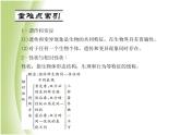八年级生物下册第七单元生物圈中生命的延续和发展第二章生物的遗传与变异第一节基因控制生物的性状作业课件新人教版