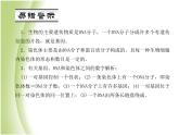 八年级生物下册第七单元生物圈中生命的延续和发展第二章生物的遗传与变异第二节基因在亲子代间的传递作业课件新人教版