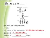八年级生物下册第七单元生物圈中生命的延续和发展第二章生物的遗传与变异第三节基因的显性和隐性作业课件新人教版