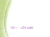 八年级生物下册第七单元生物圈中生命的延续和发展第二章生物的遗传与变异第四节人的性别遗传作业课件新人教版