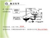 八年级生物下册第七单元生物圈中生命的延续和发展第三章生命起源和生物进化第一节地球上生命的起源作业课件新人教版