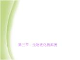 八年级生物下册第七单元生物圈中生命的延续和发展第三章生命起源和生物进化第三节生物进化的原因作业课件新人教版