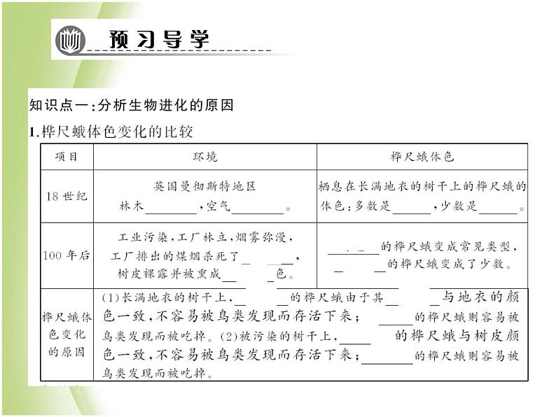 八年级生物下册第七单元生物圈中生命的延续和发展第三章生命起源和生物进化第三节生物进化的原因作业课件新人教版第4页