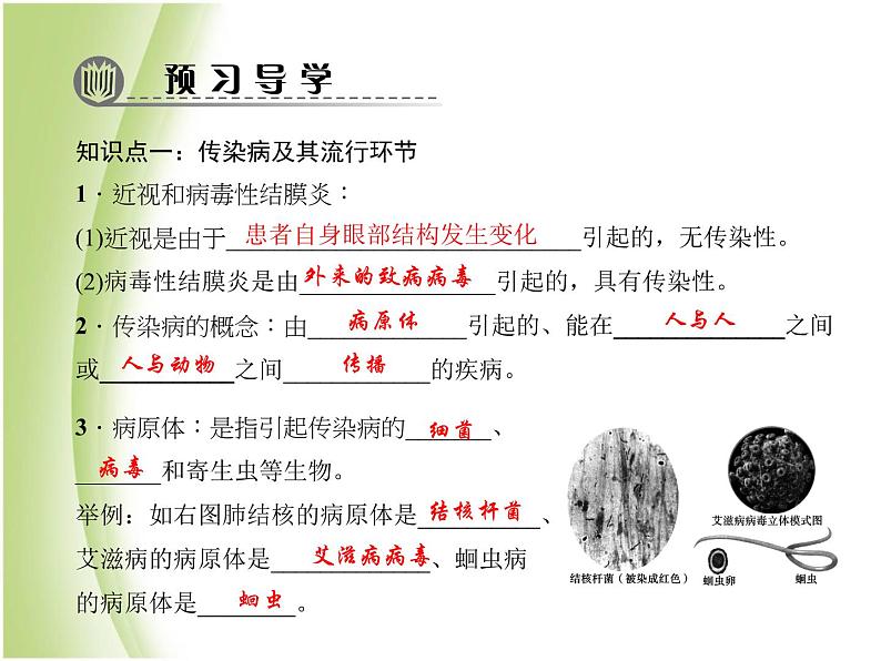 八年级生物下册第八单元健康生活第一章传染病和免疫第一节传染病及其预防作业课件新人教版05