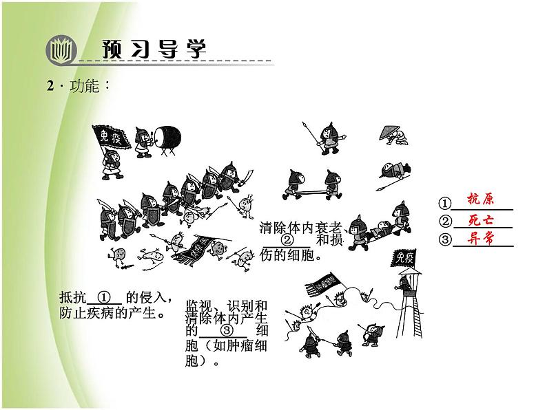 八年级生物下册第八单元健康生活第一章传染病和免疫第二节免疫与计划免疫第二课时免疫的功能和计划免疫作业课件新人教版第6页