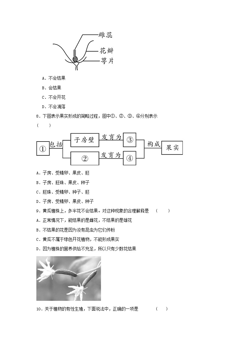 八年级生物下册7.1.1植物的生殖习题2新人教版第2页