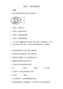 人教版 (新课标)八年级下册第四节 鸟的生殖和发育巩固练习