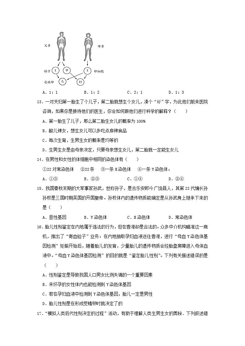 八年级生物下册7.2.4人的性别遗传习题1新人教版03