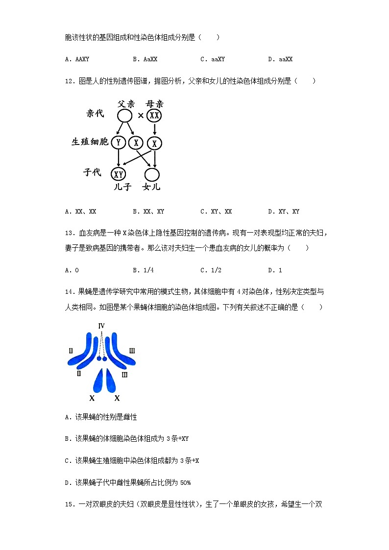 八年级生物下册7.2.4人的性别遗传习题5新人教版第3页