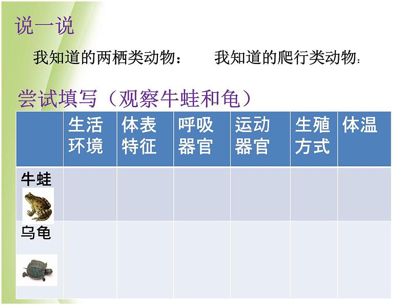 八年级生物下册第4章生物的类群4.2动物_两栖类爬行类课件沪教版03