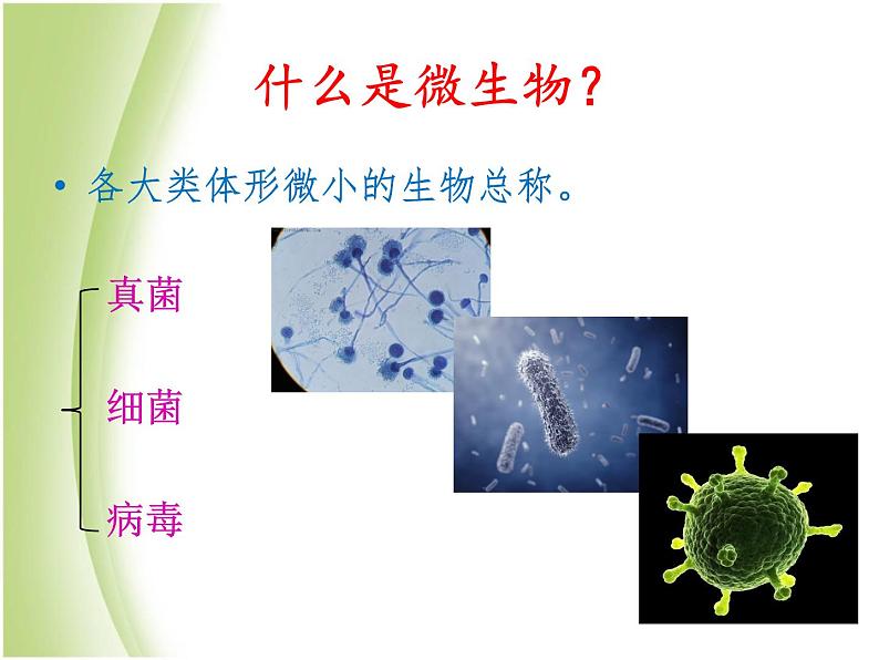 八年级生物下册第4章生物的类群4.3微生物_真菌课件沪教版03