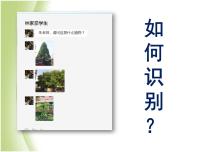 初中生物沪教版八年级下册 生命科学第四节 生物的分类图片课件ppt