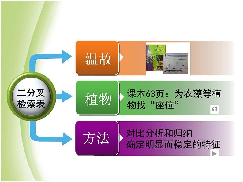 八年级生物下册第4章生物的类群4.4生物的分类_使用检索表识别常见生物物种课件沪教版第3页