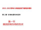 人教版八年级生物下册----2.1基因控制生物的性状-课件