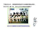 人教版八年级生物下册----2.1基因控制生物的性状-课件