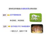人教版八年级生物下册----2.1基因控制生物的性状-课件