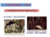 人教版八年级生物下册----3.3生物进化的原因-课件
