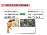 人教版八年级生物下册----3.3生物进化的原因-课件