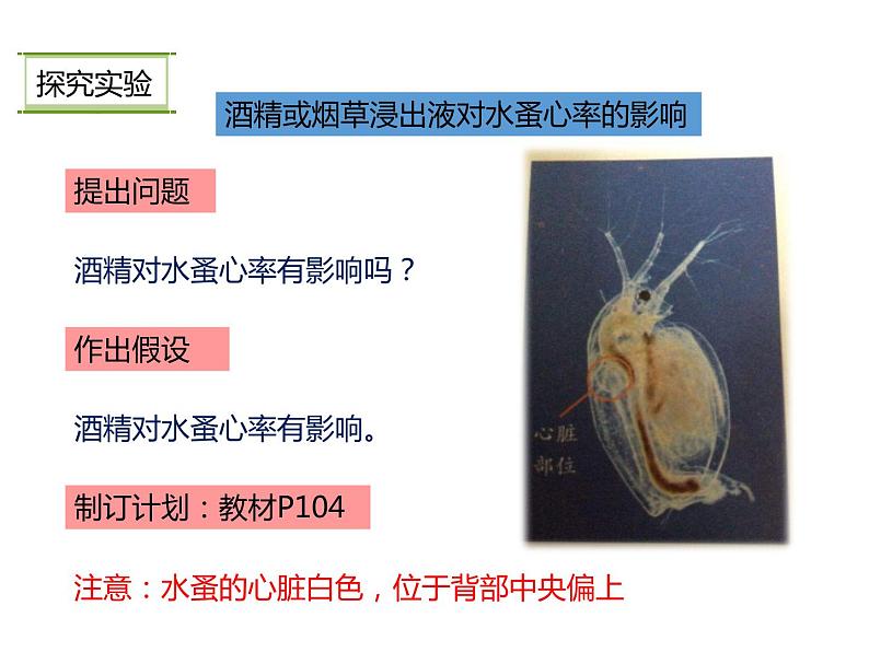 人教版八年级生物下册----8.3.2选择健康的生活方式-课件08