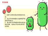 人教版八年级生物下册----7.2.4人的性别遗传-课件