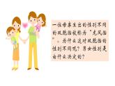 人教版八年级生物下册----7.2.4人的性别遗传-课件