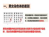 人教版八年级生物下册----7.2.4人的性别遗传-课件