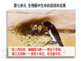 人教版八年级生物下册----7.1.1 植物的生殖（课件）
