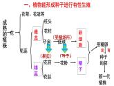 人教版八年级生物下册----7.1.1 植物的生殖（课件）