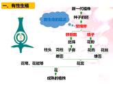 人教版八年级生物下册----1.1植物的生殖课件