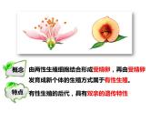人教版八年级生物下册----1.1植物的生殖课件