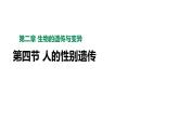 人教版八年级生物下册  7.2.4人的性别遗传  课件 +素材