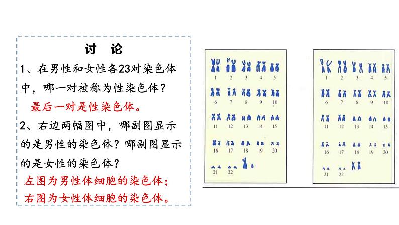 人教版八年级生物下册7.2.4人的性别遗传第6页