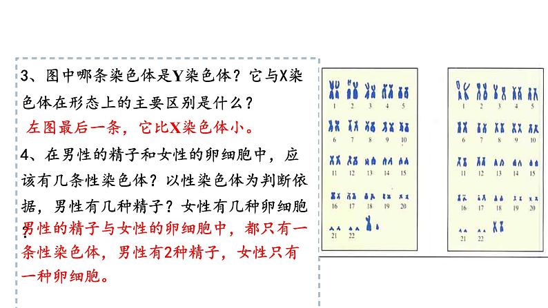 人教版八年级生物下册7.2.4人的性别遗传第7页