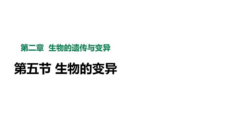 人教版八年级生物下册7.2.5生物的变异  课件+ 素材02