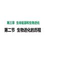 人教版八年级生物下册  7.3.2生物进化的历程   课件 素材