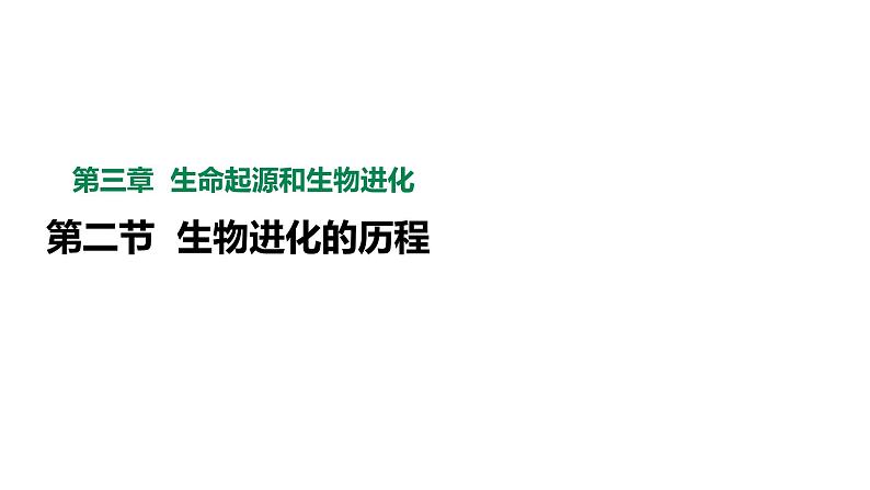 人教版八年级生物下册  7.3.2生物进化的历程   课件 素材02