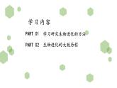 人教版八年级生物下册  7.3.2生物进化的历程   课件 素材