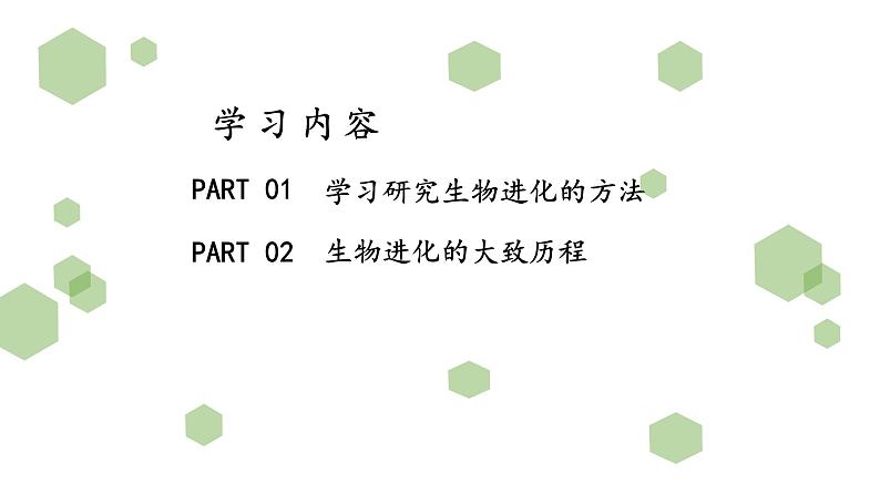 人教版八年级生物下册  7.3.2生物进化的历程   课件 素材03