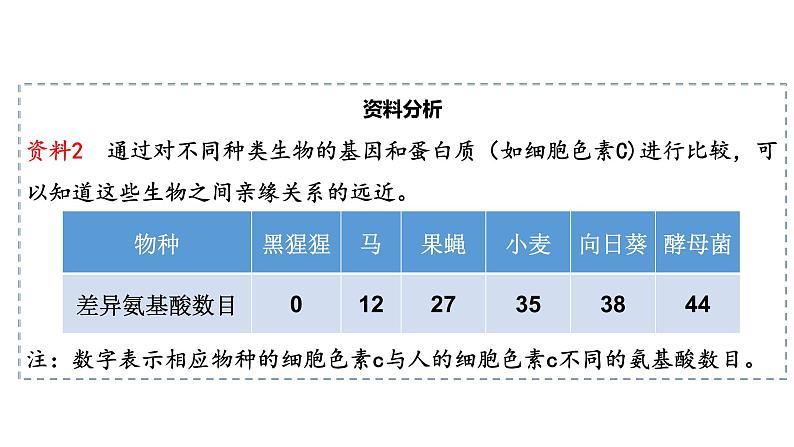 人教版八年级生物下册  7.3.2生物进化的历程   课件 素材07