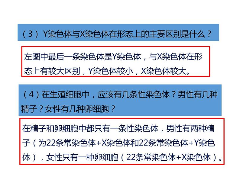 人教版八年级生物下册----2.4人的性别遗传-课件第8页