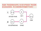 人教版八年级生物下册----7.2.3基因的显性和隐性-课件